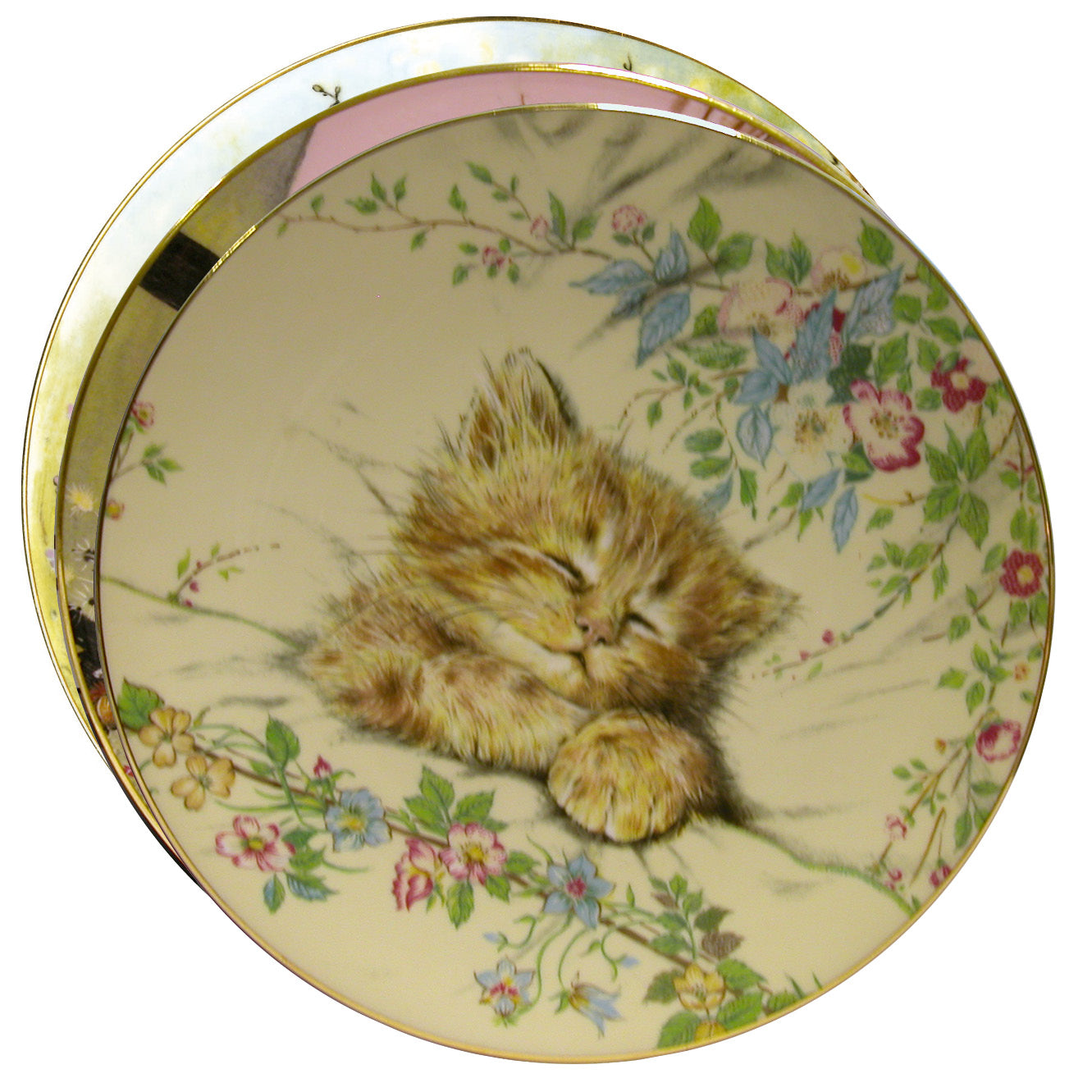 Royal Worcester Collector's Plates Kitten Classics - Set of 8