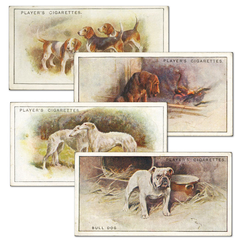 Dogs - Scenic Backgrounds -  (50) Player's 1924_4PLA19248