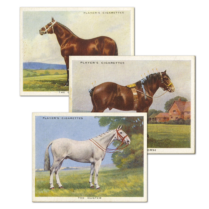 Types of Horses (25) Players 1939_4PLA19397