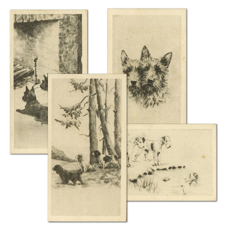 Dog Etchings (26) Wills 1925