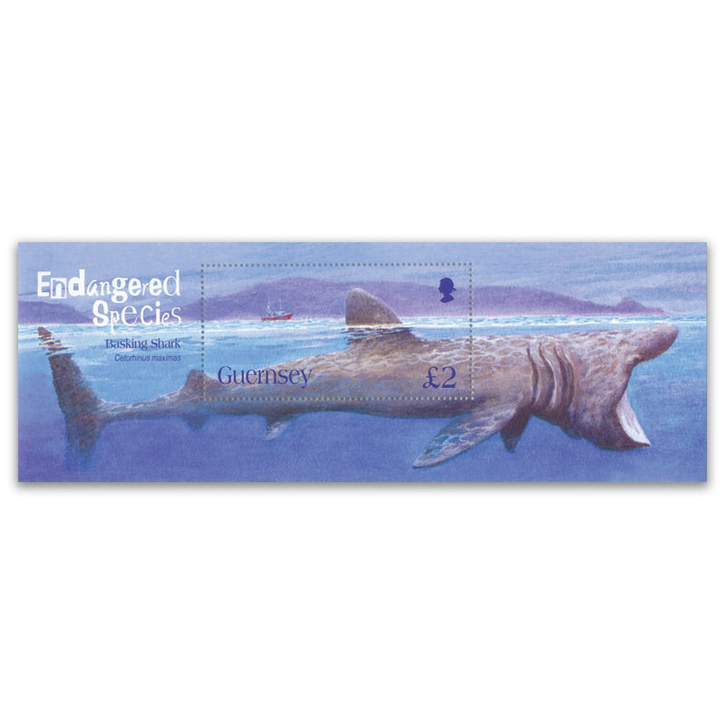 2005 Guernsey - Endangered Species - Basking Shark £2 M/S_PSM1906