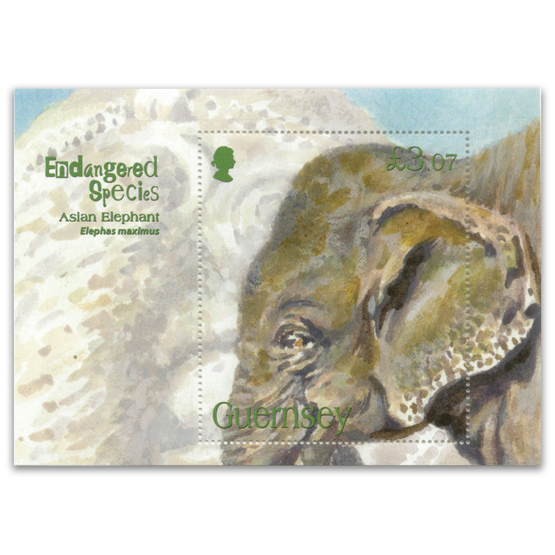 2010 Guernsey - Endangered Species - Asian Elephant £3.07 M/S_PSM1907