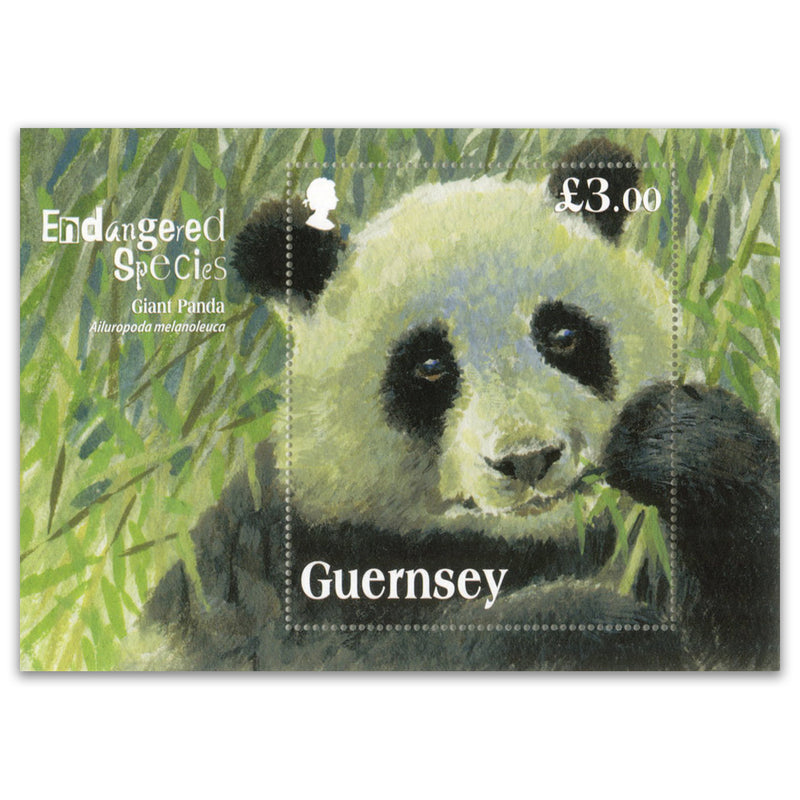 2013 Guernsey - Endangered Species - Giant Panda £3 M/S_PSM1909