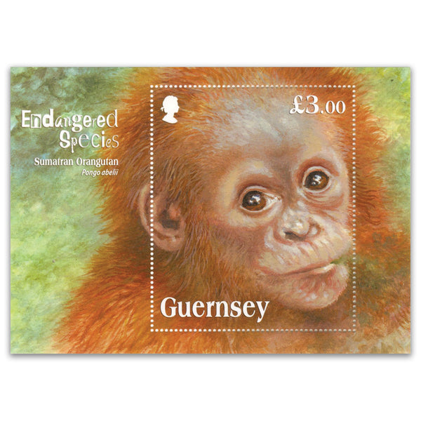 2014 Guernsey - Endangered Species - Sumatran Orangutan £3 M/S_PSM1910