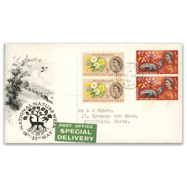 1963 NNW in vert pairs, on illustrated & addressed SPECIAL DELIVERY FDC, scarce._TX6305AS